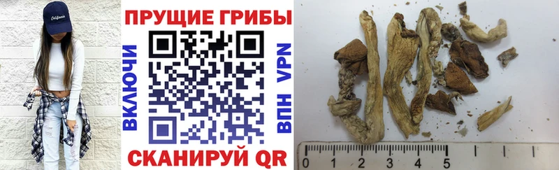 Псилоцибиновые грибы ЛСД Ясный